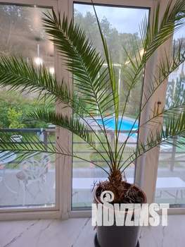 Дом 110м², 2-этажный, посуточно,