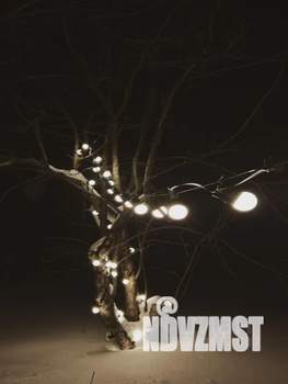 Дом 50м², 2-этажный, посуточно,