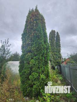 Дом 39м², 1-этажный, участок 6 сот.