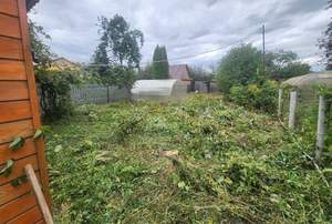 Дом 39м², 1-этажный, участок 6 сот.