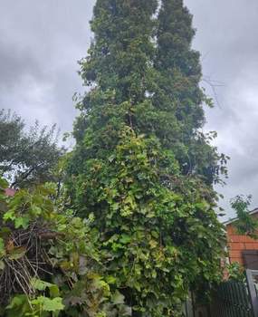 Дом 39м², 1-этажный, участок 6 сот.