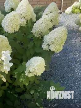 Коттедж 220м², 2-этажный, участок 8 сот.