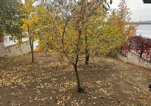 Дом 70м², 2-этажный, участок 10 сот.