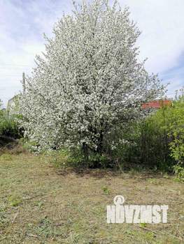 Дом 10м², 1-этажный, участок 10 сот.