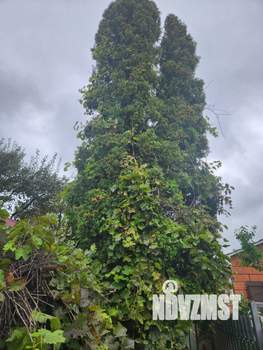 Дом 39м², 1-этажный, участок 6 сот.