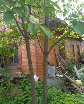 Дом 53м², 1-этажный, участок 7 сот.