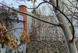 Дом 140м², 1-этажный, участок 15 сот.