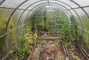 Дом 39м², 1-этажный, участок 6 сот.