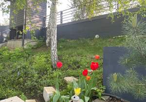 Дом 118м², 1-этажный, участок 6 сот.