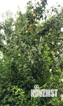 Коттедж 280м², 3-этажный, на длительный срок, 