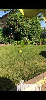 Коттедж 280м², 3-этажный, на длительный срок, 