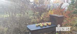 Коттедж 220м², 2-этажный, участок 10 сот.  