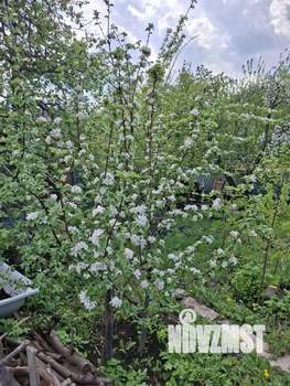 Дом 40м&sup2;, 1-этажный, участок 9 сот.  