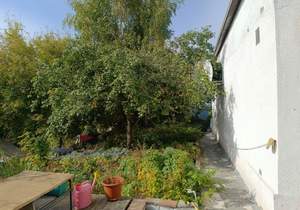 Дом 55м², 1-этажный, участок 1 сот.  