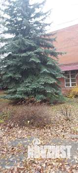 Коттедж 205м², 2-этажный, участок 9 сот.  