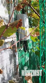 Дом 25м&sup2;, 1-этажный, участок 6 сот.  