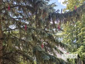 Дом 330м², 2-этажный, участок 7 сот.  