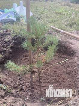 Дом 40м², 2-этажный, участок 7 сот.  