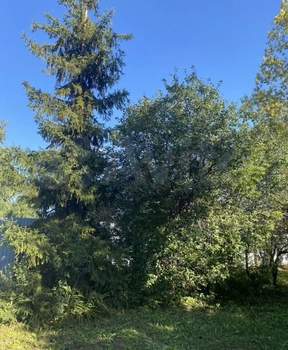 Дом 220м², 2-этажный, участок 10 сот.  