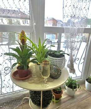 Дом 450м², 2-этажный, участок 12 сот.  