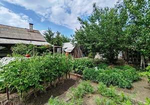 Дом 45м², 1-этажный, участок 5 сот.  