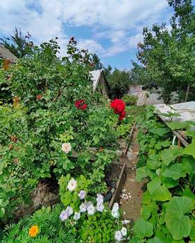 Дом 45м², 1-этажный, участок 5 сот.  