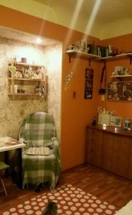 Фото комнаты на продажу (3)