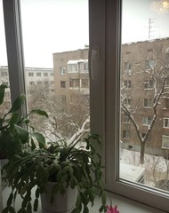 Фото комнаты на продажу (6)