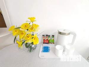 Студия квартира, посуточно, 23м2, 4/5 этаж