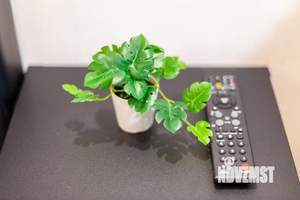 1-к квартира, посуточно, 49м2, 1/1 этаж