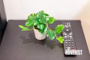 1-к квартира, посуточно, 49м2, 1/1 этаж