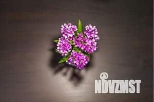 1-к квартира, посуточно, 52м2, 9/24 этаж