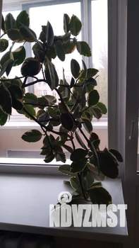 Студия квартира, посуточно, 36м2, 4/12 этаж