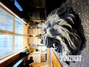 1-к квартира, посуточно, 28м2, 6/16 этаж