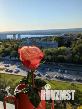 1-к квартира, посуточно, 37м2, 11/24 этаж