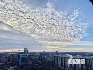 1-к квартира, посуточно, 45м2, 20/20 этаж