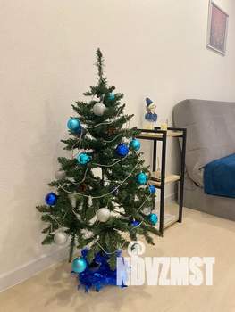 Студия квартира, посуточно, 30м2, 1/10 этаж