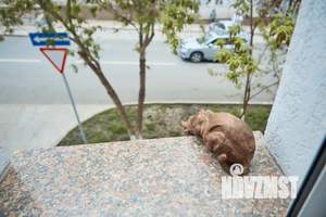 2-к квартира, посуточно, 54м2, 2/3 этаж