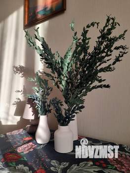 1-к квартира, на длительный срок, 43м2, 11/17 этаж