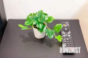 1-к квартира, посуточно, 46м2, 7/10 этаж