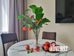 Студия квартира, посуточно, 26м2, 1/9 этаж