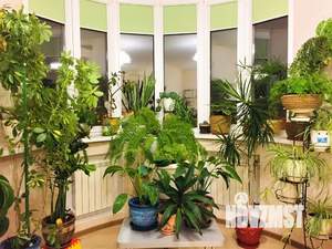 1-к квартира, посуточно, 56м2, 5/17 этаж