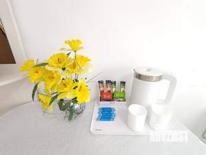 1-к квартира, посуточно, 23м2, 5/5 этаж