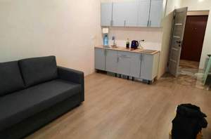 1-к квартира, на длительный срок, 27м2, 1/5 этаж