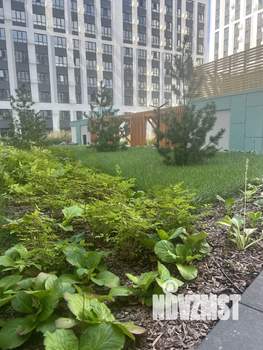 1-к квартира, на длительный срок, 37м2, 5/17 этаж