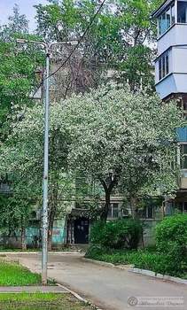 2-к квартира, на длительный срок, 45м2, 1/5 этаж