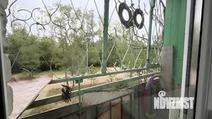 1-к квартира, на длительный срок, 20м2, 2/9 этаж