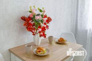 1-к квартира, посуточно, 48м2, 1/1 этаж