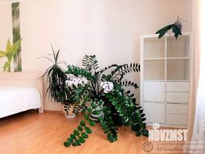 1-к квартира, на длительный срок, 60м2, 8/14 этаж