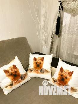 1-к квартира, посуточно, 30м2, 2/9 этаж